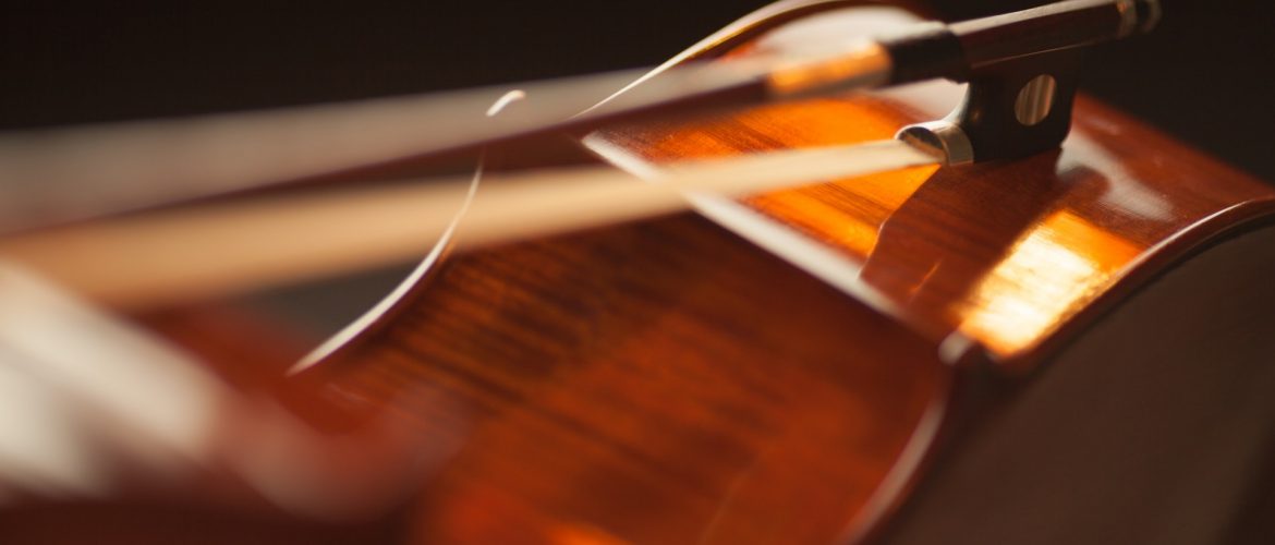 viola e archetto per concerti